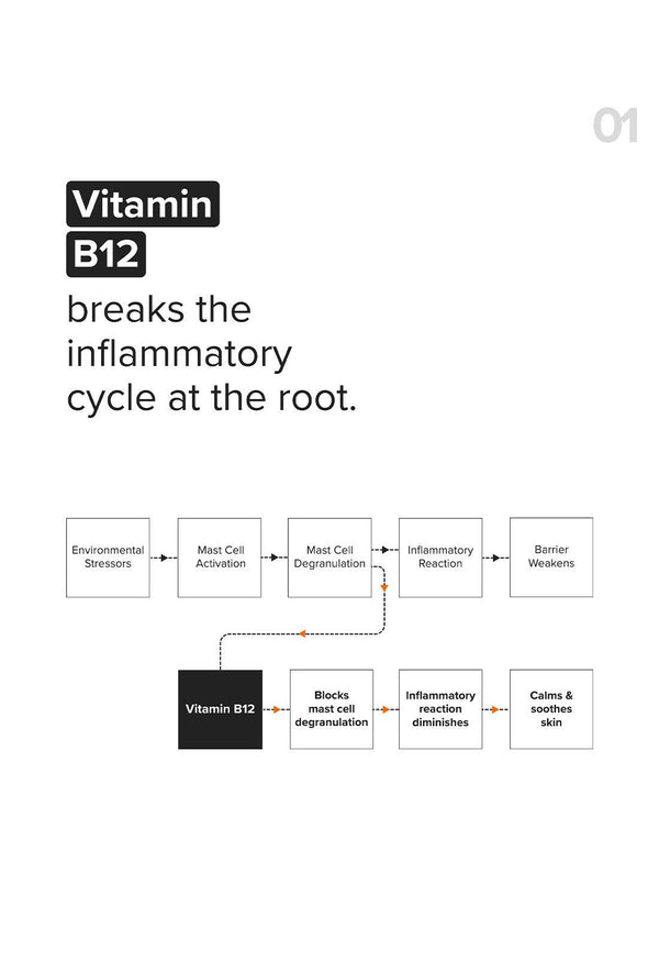 B12 + Repair Complex 5.5% Face Moisturizer