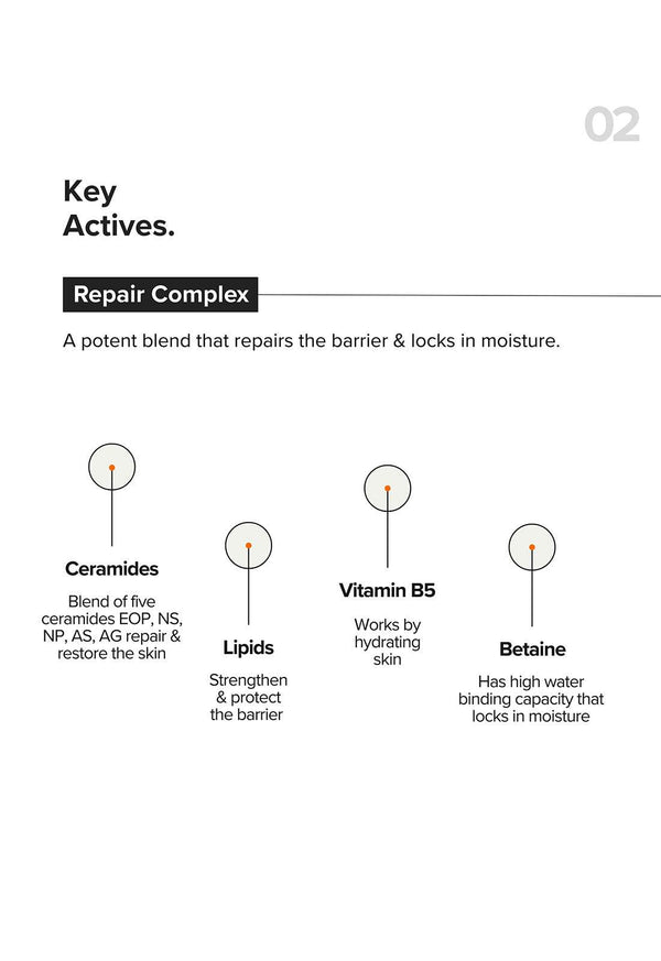 B12 + Repair Complex 5.5% Face Moisturizer